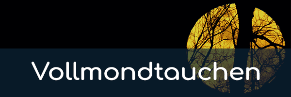 Vollmondtauchen